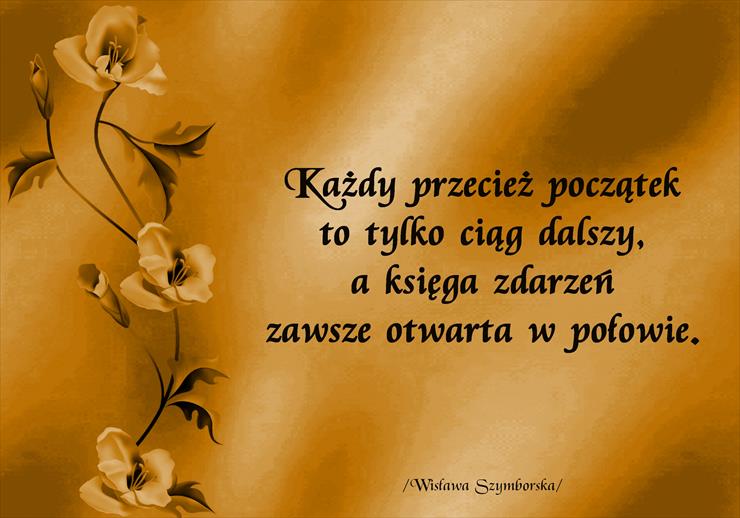 Wisława Szymborska cytaty - ws012.jpg