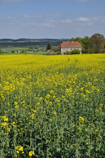 Rezerwat nad Groblą-Czechy - dsc_4667_25779343035_o.jpg