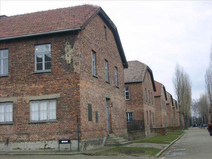 Auschwitz-Birkenau Auschwitz - 1386.JPG