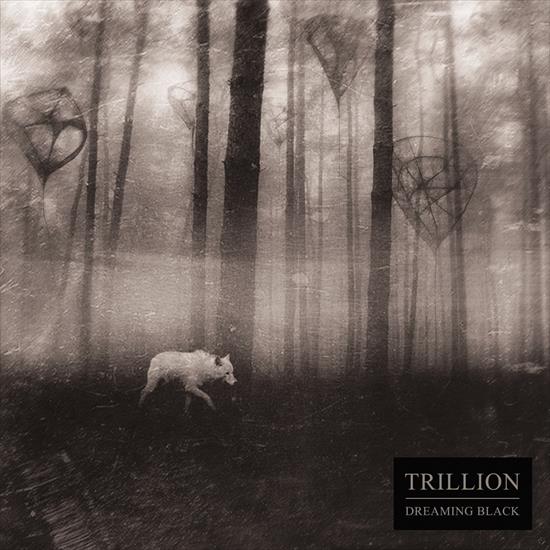 Trillion - Dreaming Black 2016 - Cover.jpg