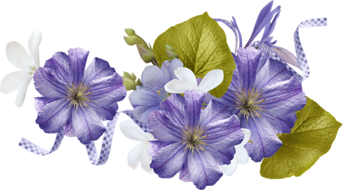lila i fiolet - 6543 16.png
