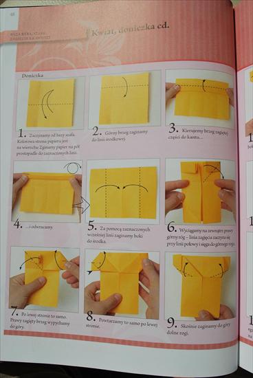 Księga origami - DSC_0088.JPG
