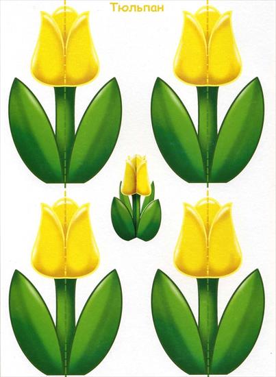 Kwiaty wiosenne - obrazki - Tulipan żółty.jpg