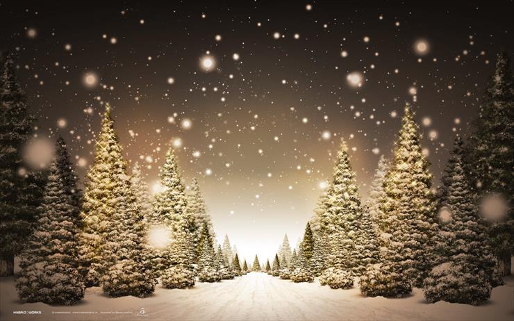 Tapety - christmas-trees-starlight.jpg