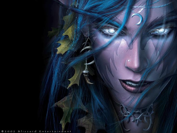 Fantastyka - Warcraft_III_-_Night_Elf_Box_Cover.jpg