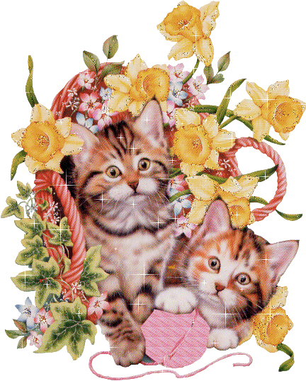 GIFY KOTKI - koty kwiaty4009.gif