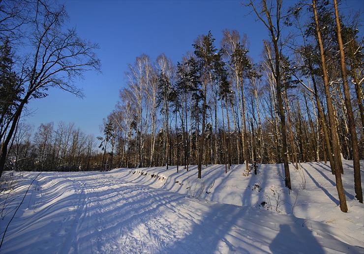 Moja galeria foto - Zima w gorach I.jpg