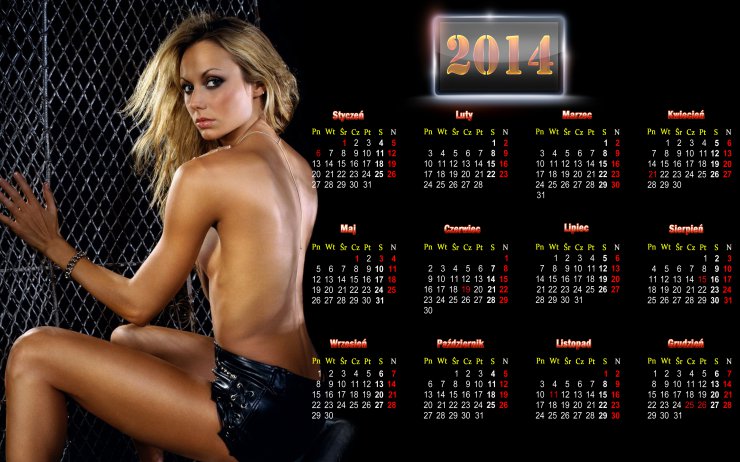 KALENDARZE 2014 - Kalendarz 1.png