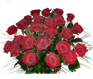 róże - kr-116-kytice-24-ruzi-grand-prix.jpg