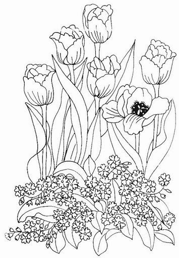 kwiaty3 - tulipe261.gif