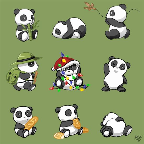 Pandas - 65.gif