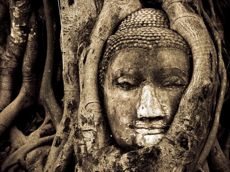 tapety - buddha-head-ayutthaya_19472_990x742.jpg