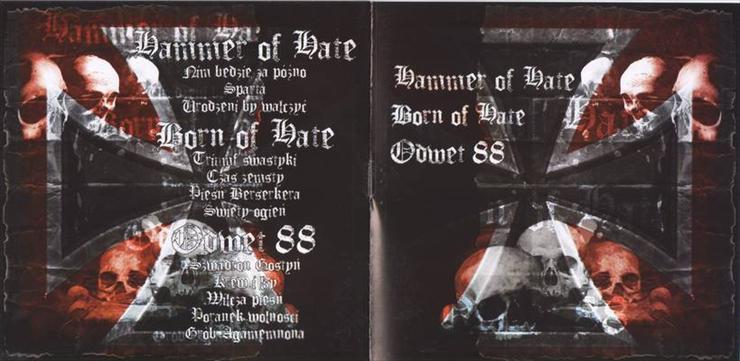 2008  Hammer of Hate  Born of Hate  Odwet 88  Split - big2.jpg