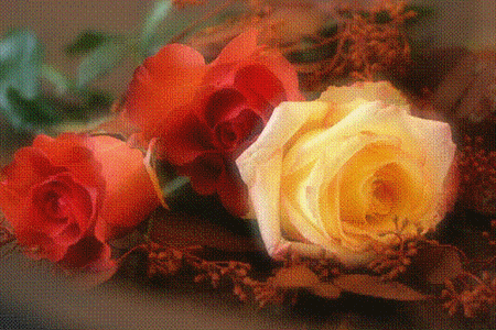 Kocham róże - roza.GIF