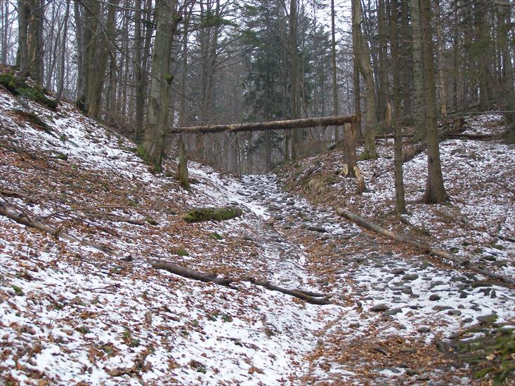 Beskid Sądecki - skok-wzwy_5567655644_o.jpg