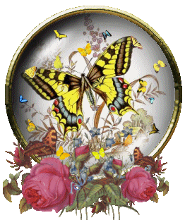 motyle - papillon05.gif