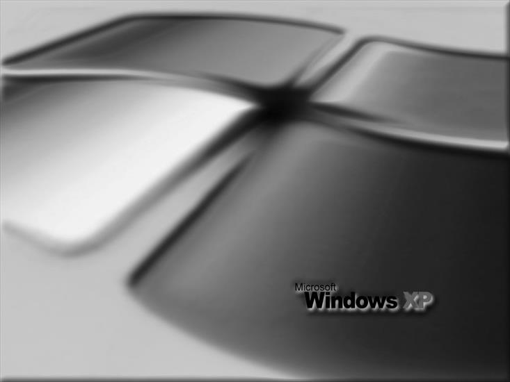 Windows - Nikos-Adamamas-Inspiration-.jpg
