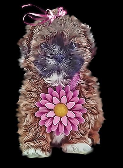 _0 - Dog with Flower.png