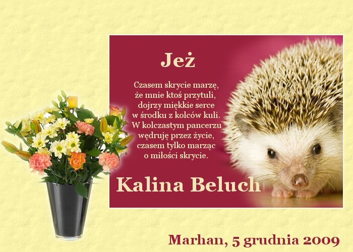 Kalina Beluch - wiersz_695.jpg