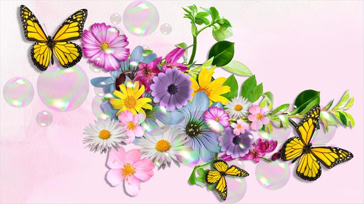 Motyle i ważki - 07-Beautiful-Butterfly-Picturesbutterfly-wallpaper.jpg