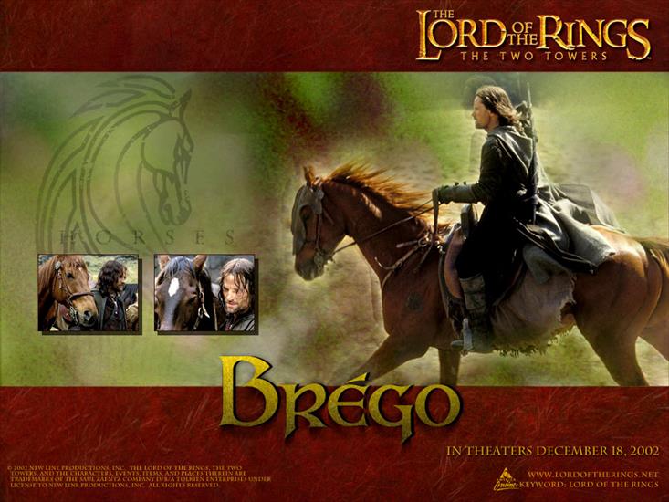 Władca pierścieni - The Lord of the Rings wallpaper 1.jpg