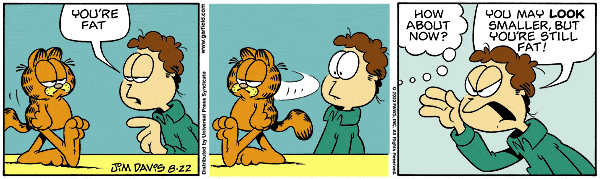 Garfield - Garfield 355.GIF