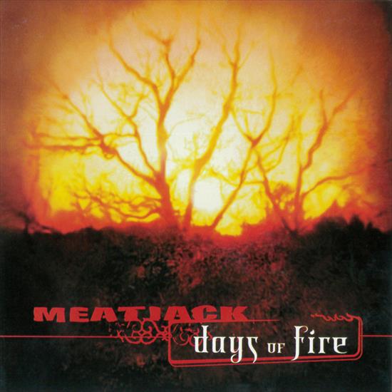2003 - Days of Fire - cover.jpg
