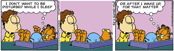 Garfield - Garfield 234.GIF