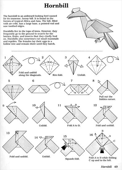 African Animalsin Origami - AfricanAnimalsinOrigami042.jpg