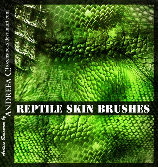  PĘDZLE - BRUSH - Reptile Skins.jpg