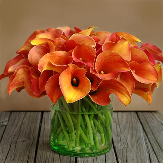  Kwiaty w wazonie - cala_orange.jpg