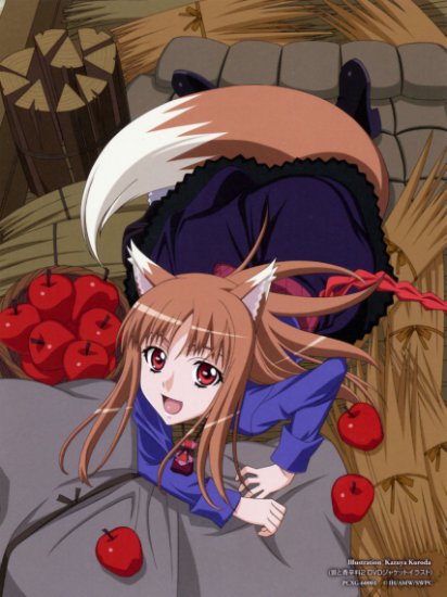 Spice and Wolf - Horo 10.jpg