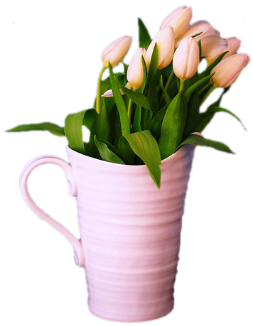 GALERIA...PIĘKNO KWIATÓW - tulipan.jpg
