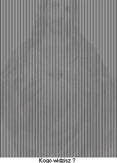 1 - zludzenia-optyczne-iluzje-kogo_widzisz.jpg