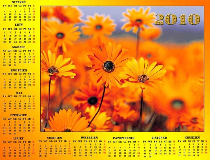 Kalendarze 2010 - KALENDARZE- 2010- KWIATY7.jpg
