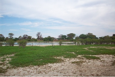 Senegal_Islands - Niodor_Broussede.jpg