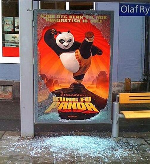 Zdjęcia - kung fu panda.jpg