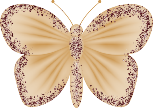 MOTYLE - butterfly2.png