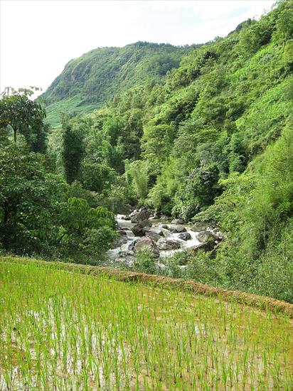 Wietnam_Vietnam - Sa Pa - Overlooking_Rice_Terrace_Cat_Cat.JPG