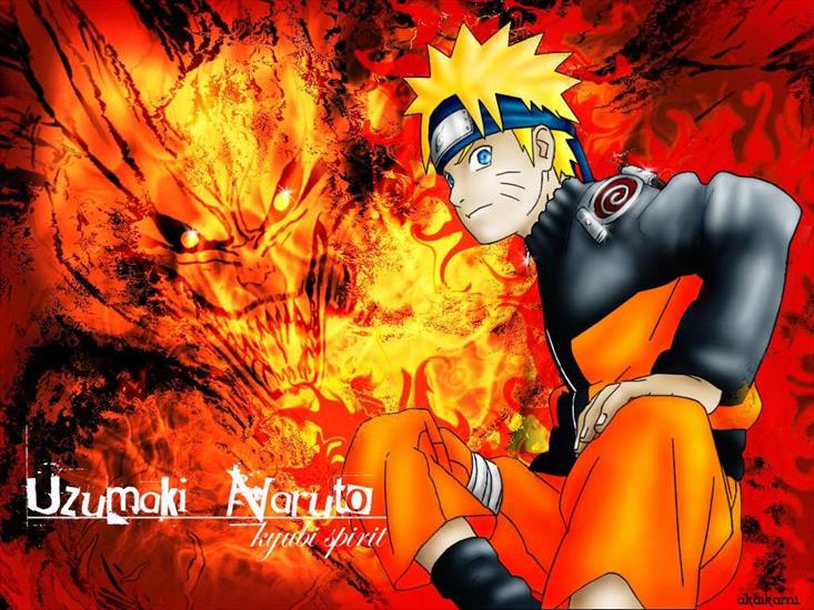 Naruto - 070308111.jpg