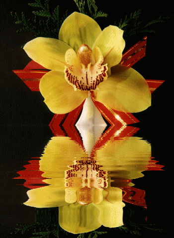 Kwiaty na wodzie - Orchidea_2.gif