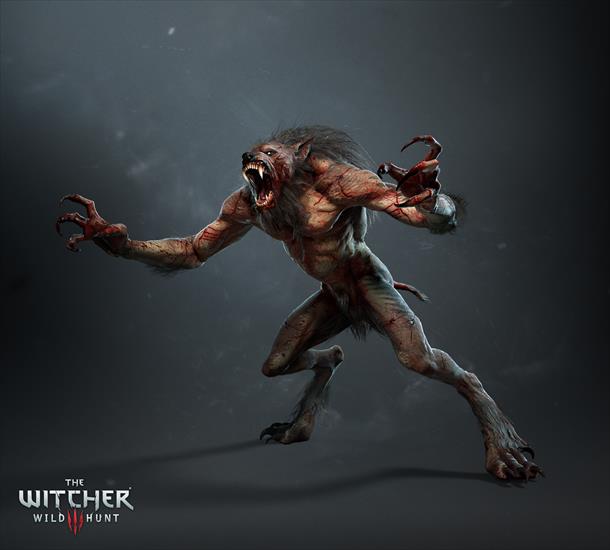 monsters - Witcher 3 Wild Hunt, The - artwork - Werewolf.jpg