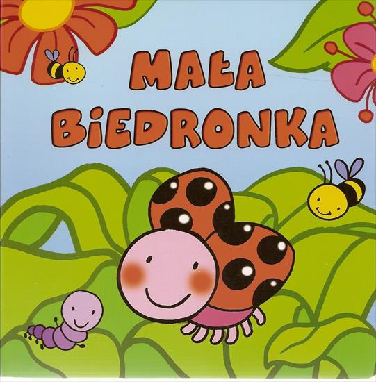 Biedroneczka - biedronka 1.jpg