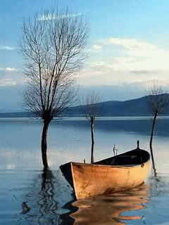 NOWY FOLDER - Lake_With_A_Boat.jpg