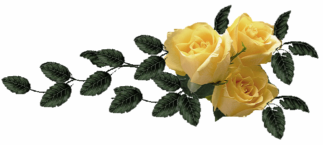 Róże żółte - jazscl5.png