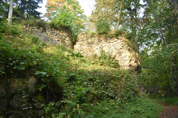 2021.09.27 01 - Cieszów - Ruiny zamku książęcego. Zamek Cisy - 002.JPG