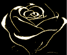 Kwiaty - czarna róza.gif