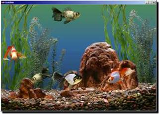 wygaszacze ekranu - goldfish-aquarium26277.jpg