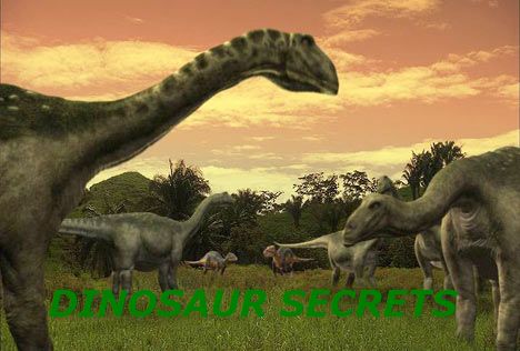 Sekrety dinozaurów - Sekrety dinozaurów 2008L-Dinosaur Secrets.jpg