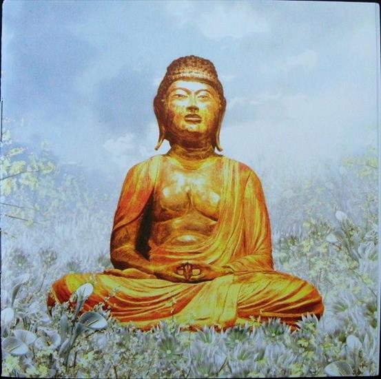 2004, Buddha Bar VI 2 X CD - inside3.jpeg